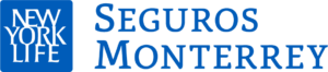 SMNYL azul SMNYL Logo Azul